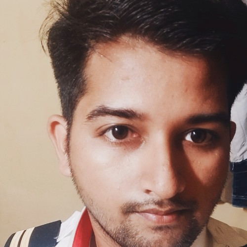 Ankit P.