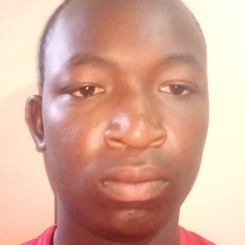 Martin M K. profile photo