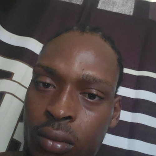 Stephen M. profile photo