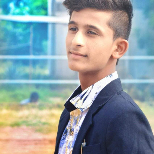 Gokul P. profile photo