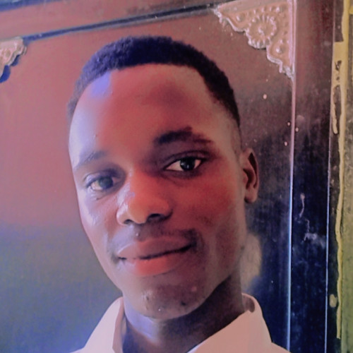 Emmanuel  O. profile photo