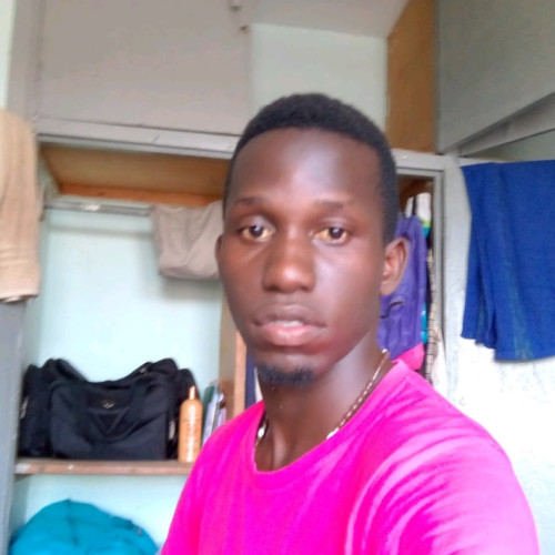 Anold M. profile photo