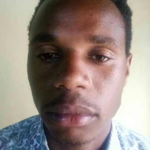 Denis N. profile photo