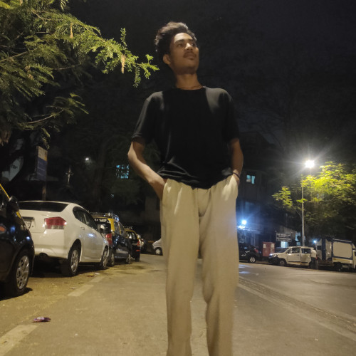 Mobashir  S. profile photo