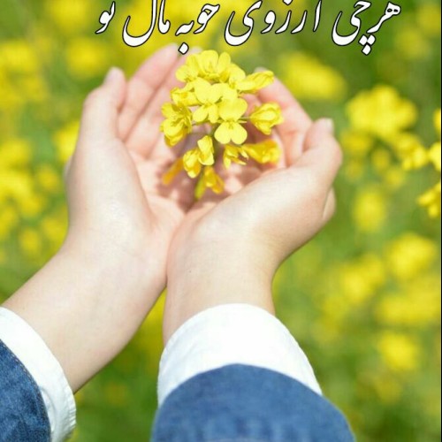 Ashkan  K.