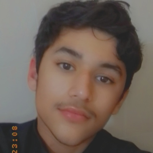Alex H. profile photo