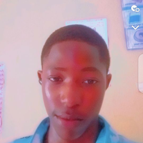 Eli D. profile photo