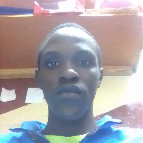 Daniel K. profile photo