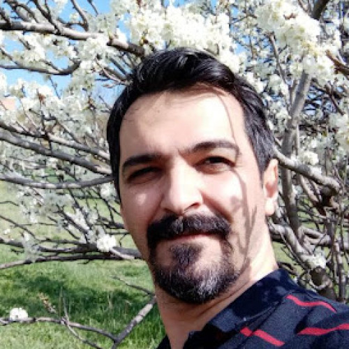 Mohsen D. profile photo