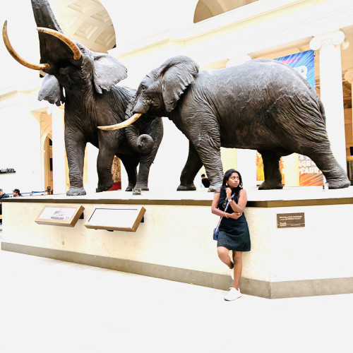 vandana j. profile photo