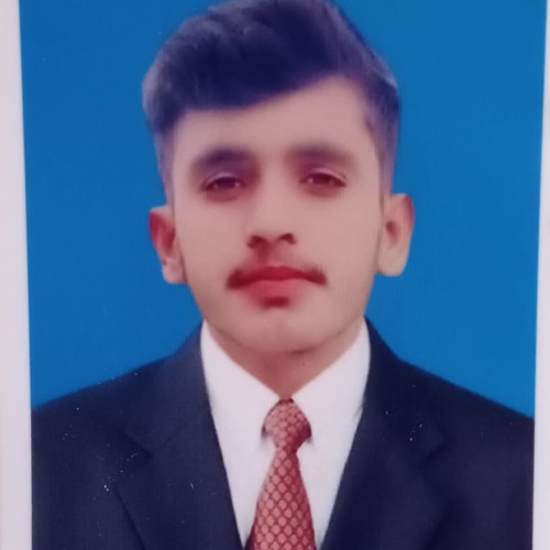 Ali H.
