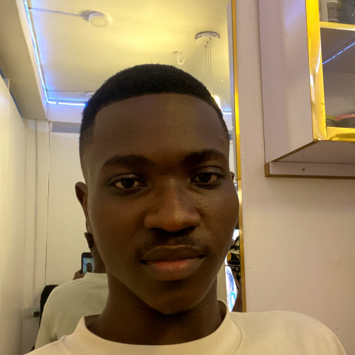 Daniel D. profile photo