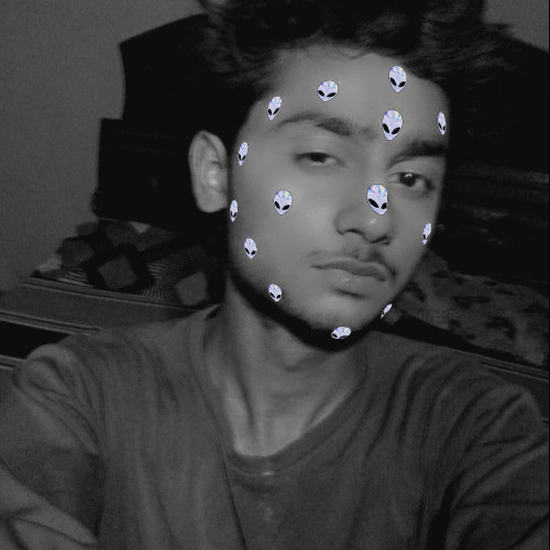 Vinayak  T. profile photo