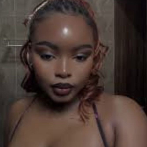 vinny N. profile photo