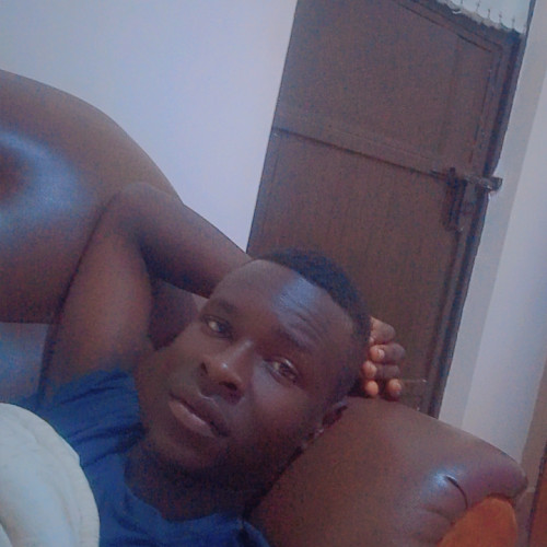 Max W. profile photo