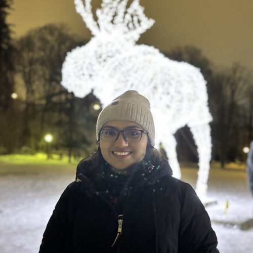 Dipal P. profile photo