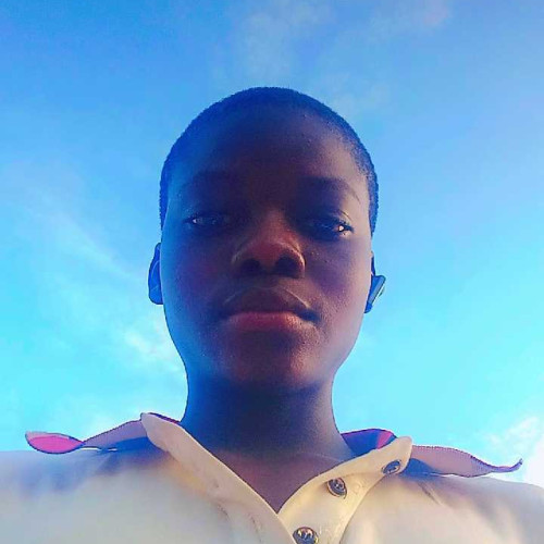 Sherifdeen O. profile photo