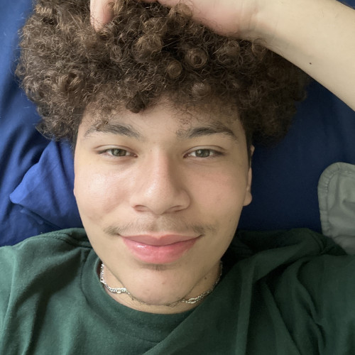 Daniel M. profile photo
