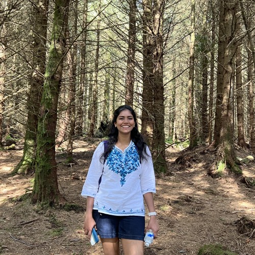 Pinnamaneni S. profile photo