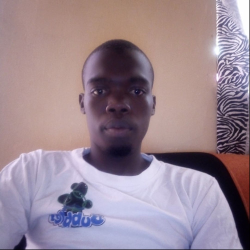 Alvine O. profile photo