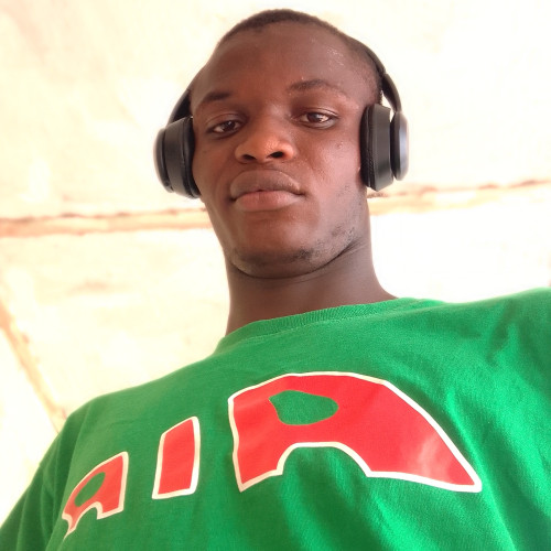 Ogunleye K.
