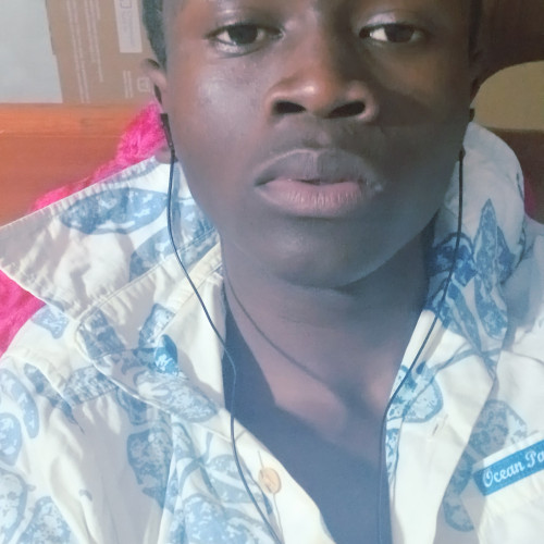 harvey o. profile photo