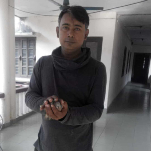 The  O. profile photo