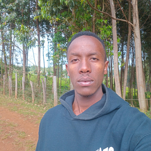 Kitet A. profile photo