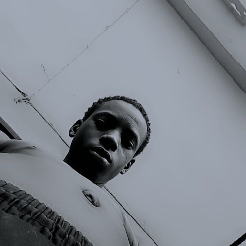 Myro T. profile photo