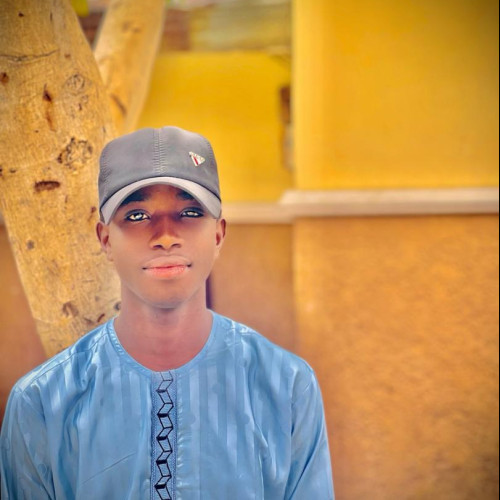 Mahmud D. profile photo