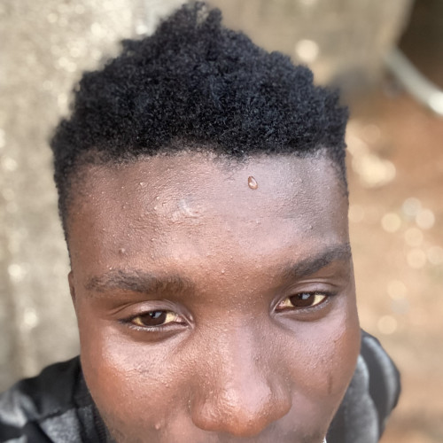 Alade A.
