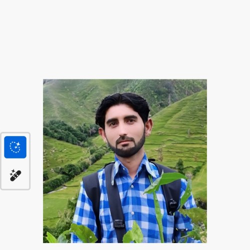 MALIK  M.