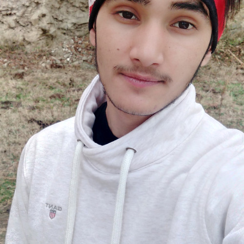 Vishal V. profile photo