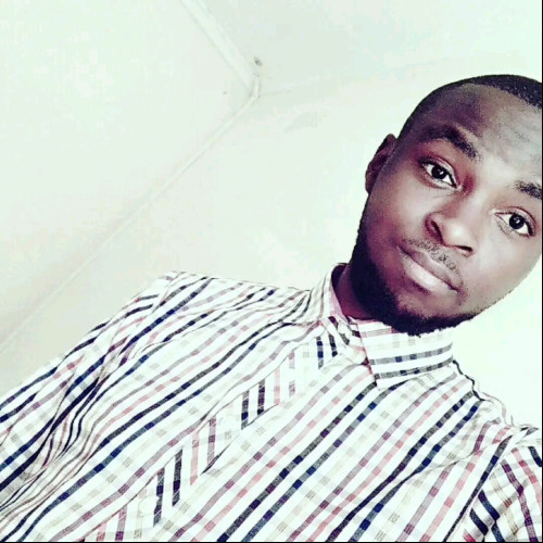 Tanaka Wayne M. profile photo