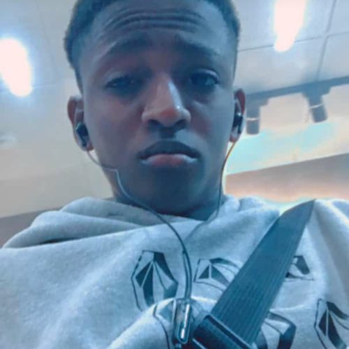 David D. profile photo