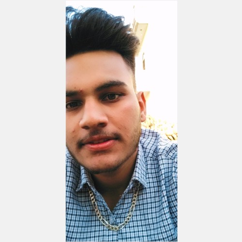Karamvir S.