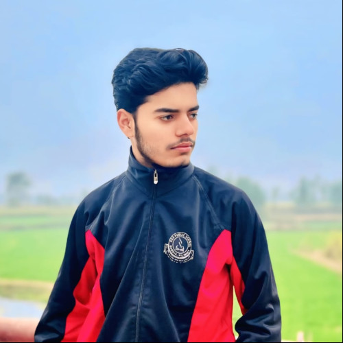 amaan m. profile photo