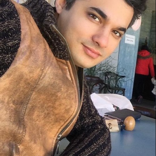 Mehdi T.
