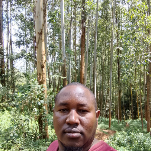 William b. profile photo