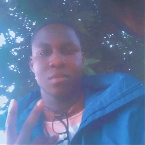Zylo S. profile photo