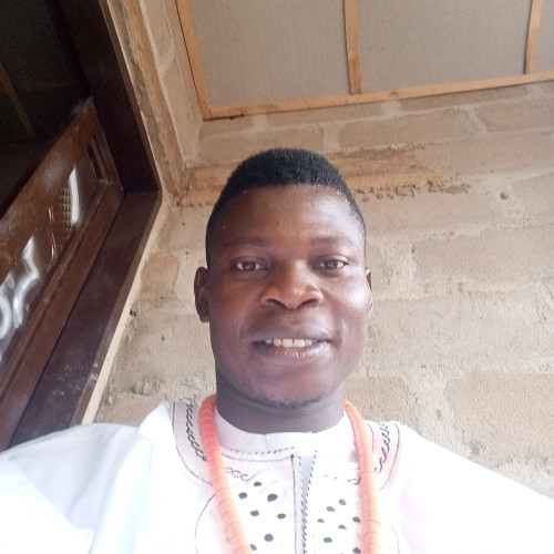 Ashegun  S. profile photo