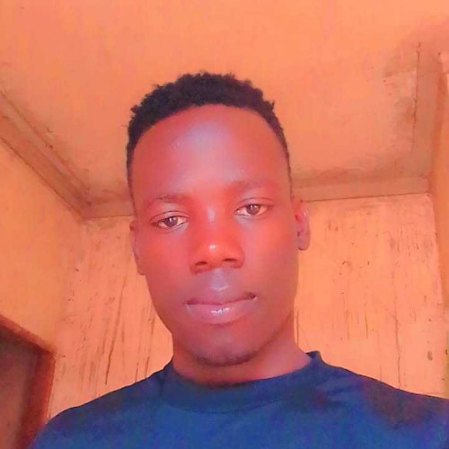 Enzo w. profile photo