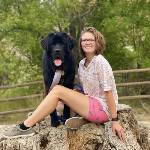 Allison B. profile photo