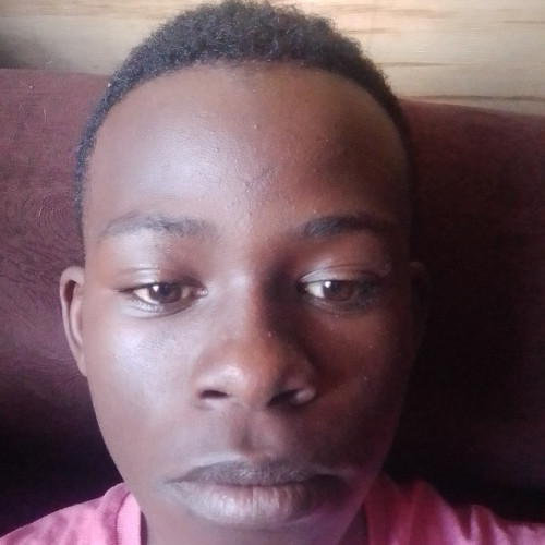 Davwil M. profile photo