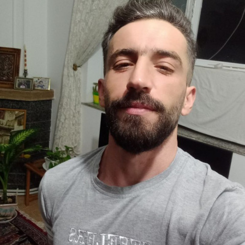 Mohi S. profile photo