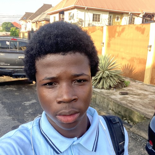 Oyesola  T.