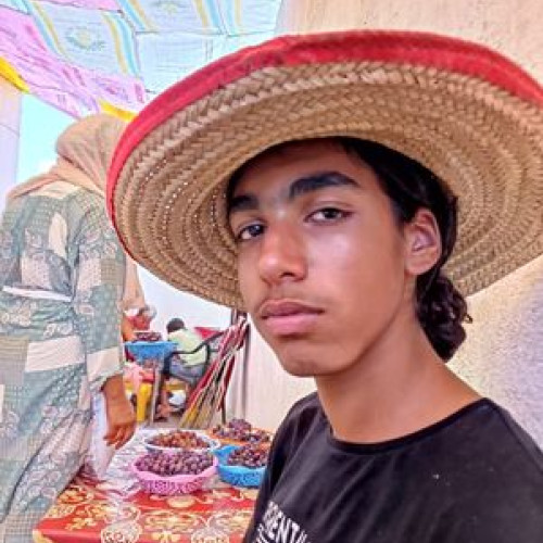 Mohamed E. profile photo