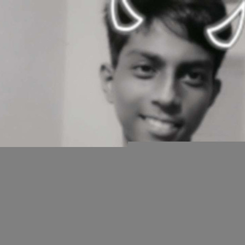Harsha  N. profile photo