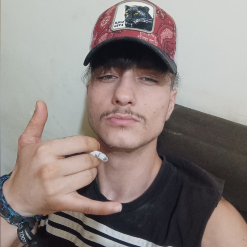 mahyar z. profile photo