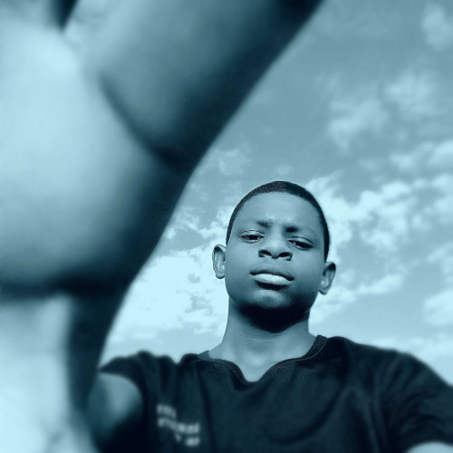 Muhammad N. profile photo